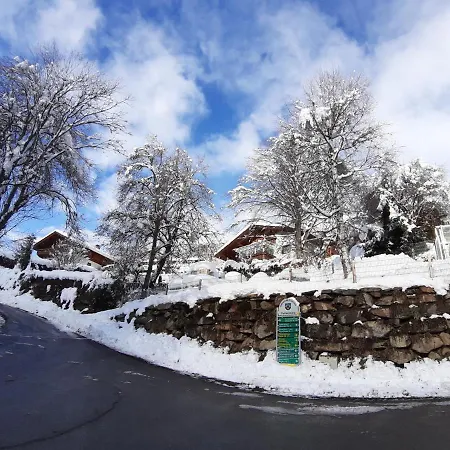 Anna Zechner フラタッハ