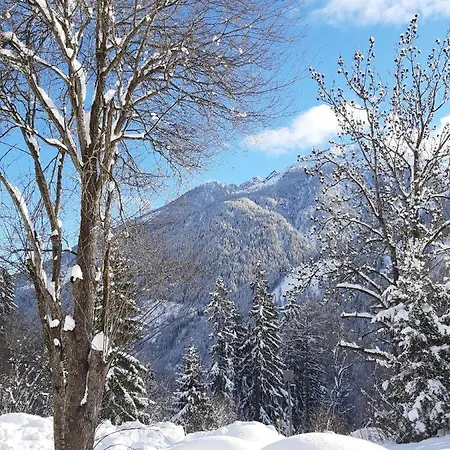 Anna Zechner アパート *