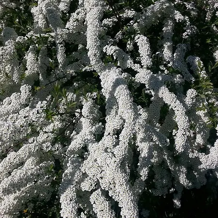 アパート Anna Zechner フラタッハ