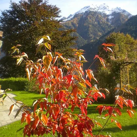 Anna Zechner フラタッハ