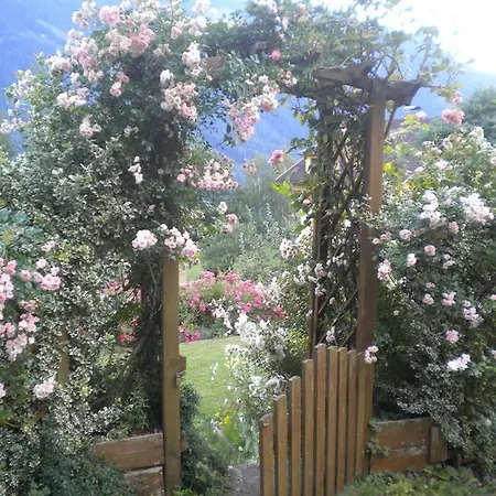 アパート Anna Zechner *