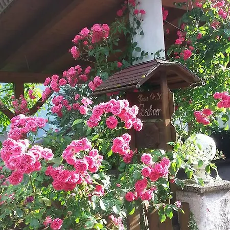 Anna Zechner フラタッハ