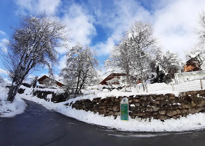 Anna Zechner Flattach