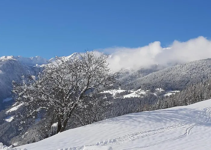 Anna Zechner Flattach