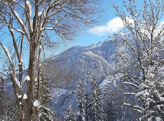 Anna Zechner Apartment *