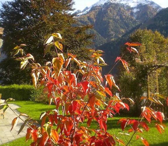 Anna Zechner Flattach