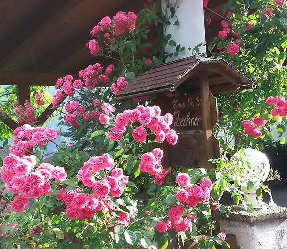 Anna Zechner Flattach